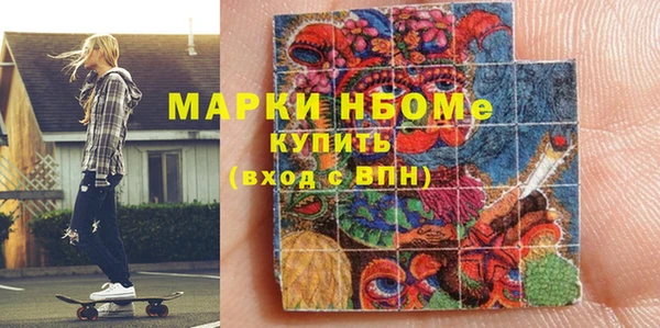 индика Дмитровск