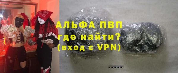 индика Дмитровск