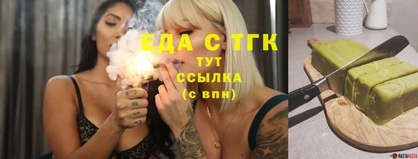 индика Дмитровск