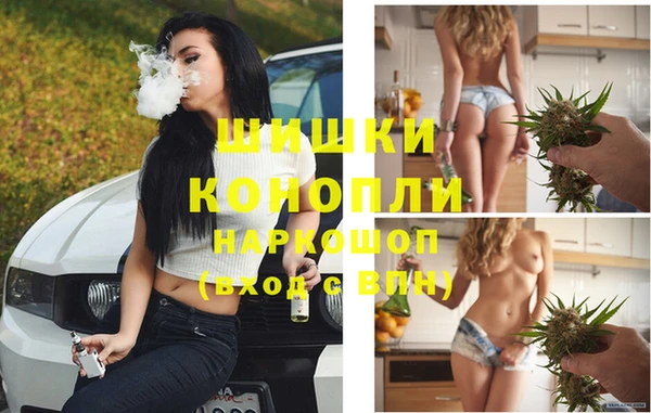 индика Дмитровск