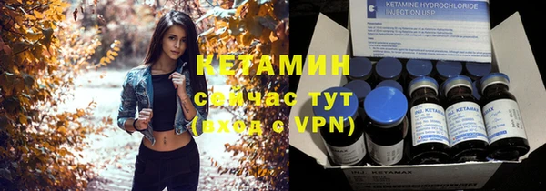 индика Дмитровск