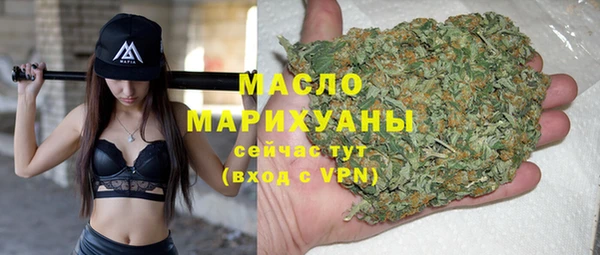 индика Дмитровск