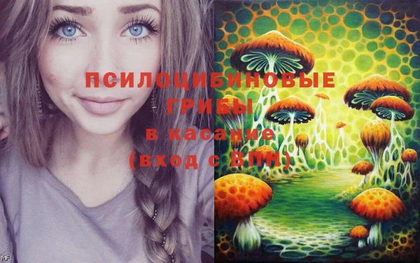ГАЛЛЮЦИНОГЕННЫЕ ГРИБЫ Дмитров