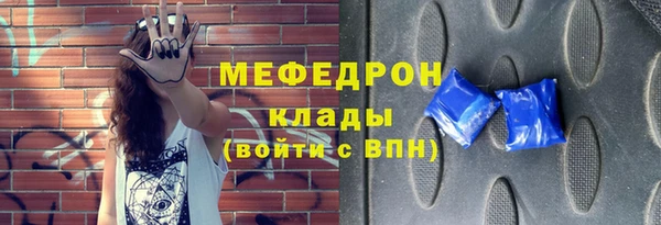 индика Дмитровск