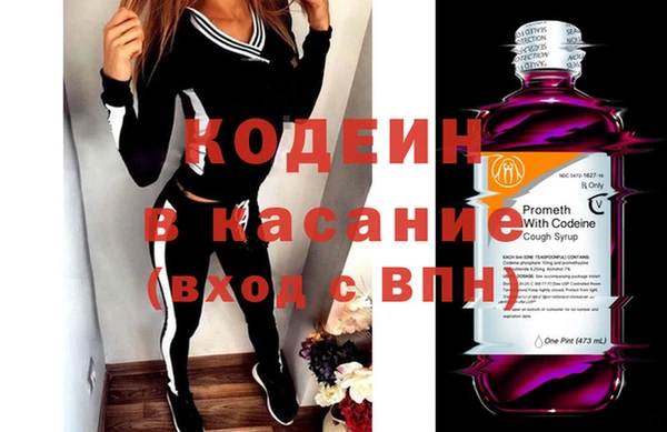 индика Дмитровск