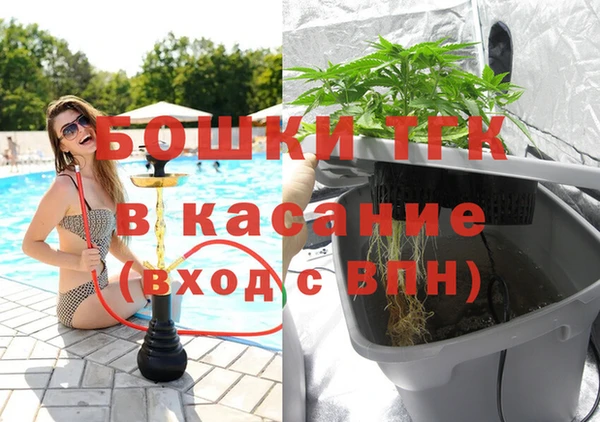 индика Дмитровск